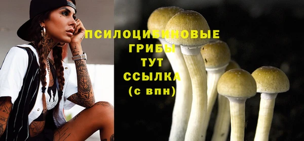 дмт Новодвинск
