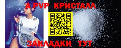 тгк Бийск