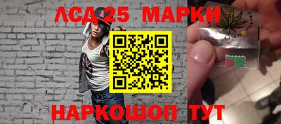 тгк Бийск