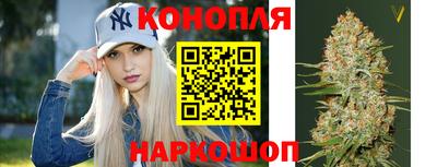 СК Будённовск