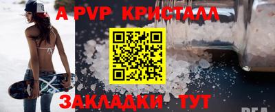 тгк Бийск