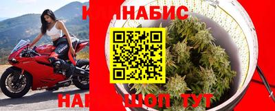 тгк Бийск