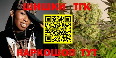 тгк Бийск