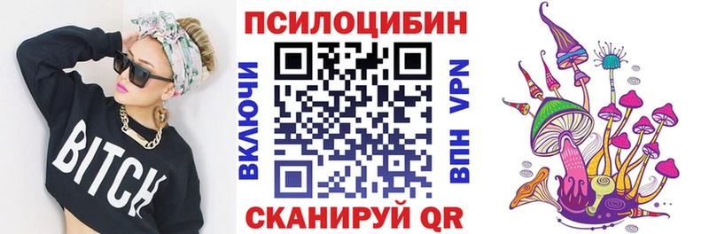 где купить   Невинномысск  блэк спрут ТОР  Псилоцибиновые грибы MAGIC MUSHROOMS 