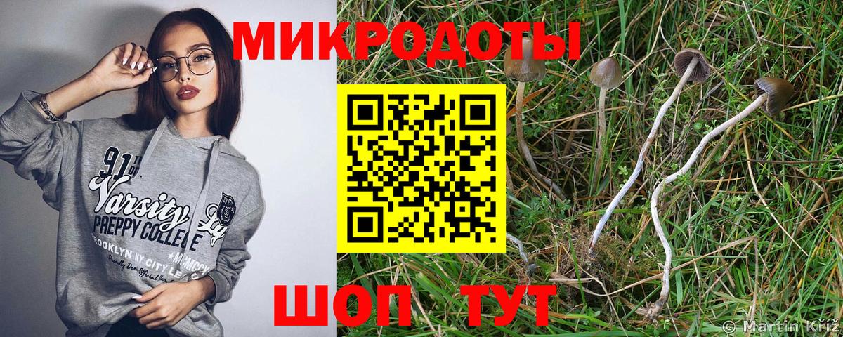 Галлюциногенные грибы мухоморы Невинномысск