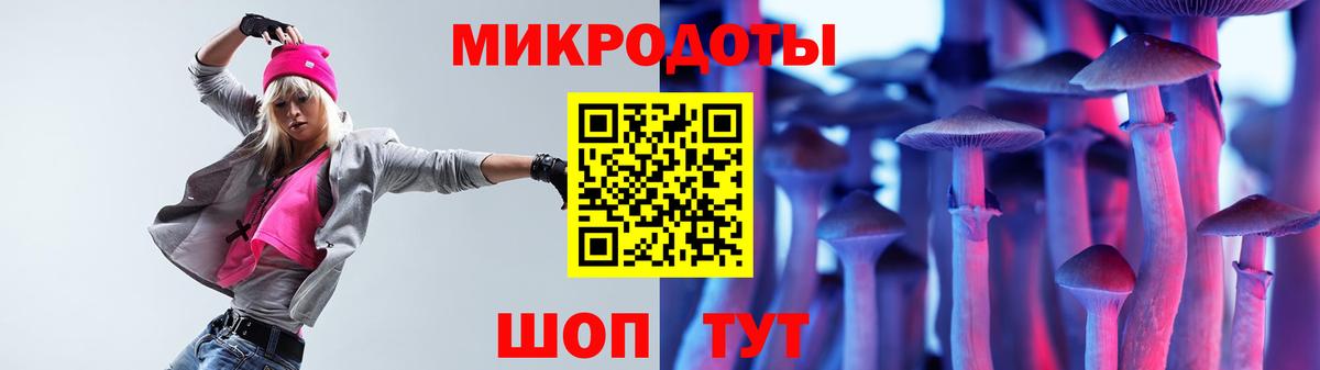 Псилоцибиновые грибы Cubensis  цены   Невинномысск 