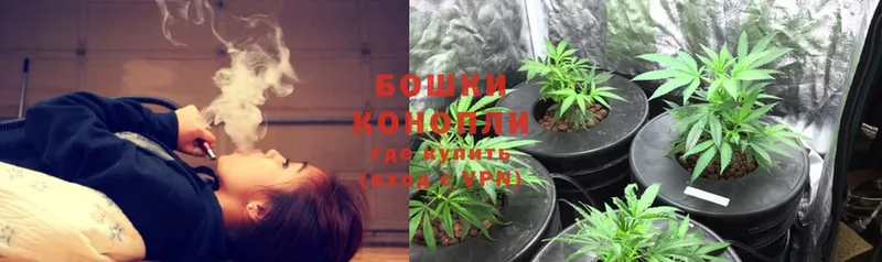 hydra как зайти  наркота  Невинномысск  Каннабис LSD WEED 